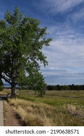 Crown Hill Park, Wheat Ridge, CO