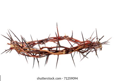 Crown Made Thorns Isolated On White Stock Photo 71259094 | Shutterstock