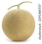 Crown Musk Melon isolated on white background, Shizuoka Crown Melon or cantaloupe isolated on white background With clipping path.