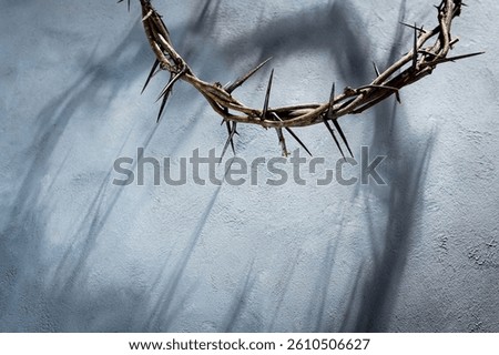Crown of thorns casting a dramatic shadow on a textured gray background, evoking themes of sacrifice, suffering, and redemption