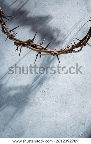 Crown of thorns casting a dramatic shadow on a textured gray background, evoking themes of sacrifice, suffering, and redemption
