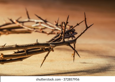 Crown of thorns. Christian concept of suffering. - Shutterstock ID 372857956