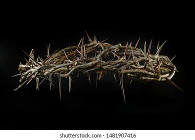 Crown of thorns with dramatic light isolted over dark background