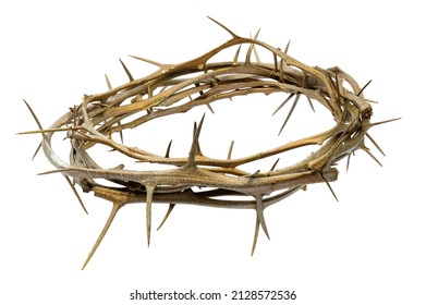 A Crown Of Thorns Isolated On A White Background