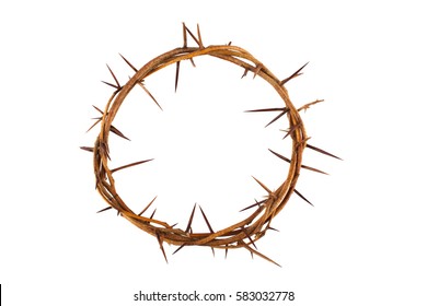 Crown Of Thorns Isolated On White Background