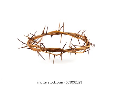 Crown of thorns isolated on white background