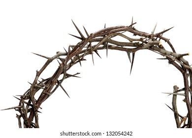 Crown Of Thorns Isolated Over White Background