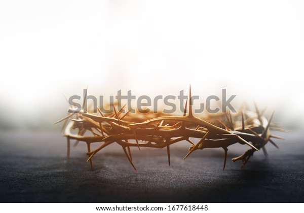 the crown of thorns of Jesus on  black background\
against  window light with copy space, can be used for Christian\
background, Easter concept