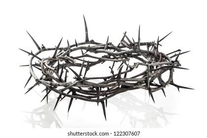 Crown of thorns on white