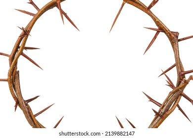 Crown of thorns on white background