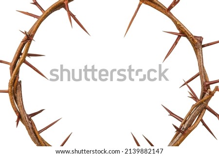 Crown of thorns on white background