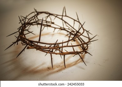 1,091 Ring of thorns Images, Stock Photos & Vectors | Shutterstock