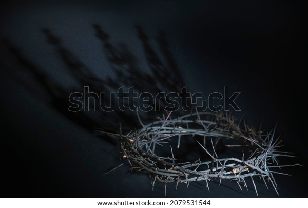 Crown Thorns Shadow Crown Symbol Pain Stock Photo (edit Now) 2079531544