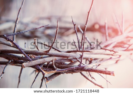 Crown of thorns as a symbol of death and resurrection of Jesus Christ. Selective focus.
