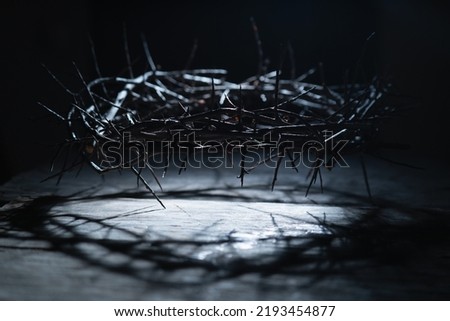 Crown of thorns as a symbol of death and resurrection of Jesus Christ for our sins. Horizontal image.