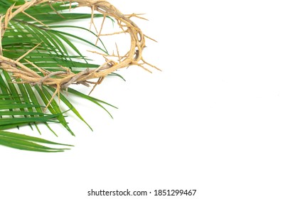 The Crown of Throns on a Bed of Palm Branches