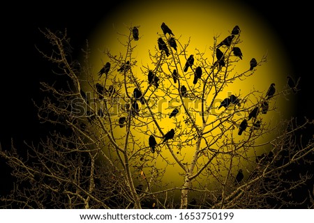 crows are sitting on a tree at the beginning of the ragnarok
