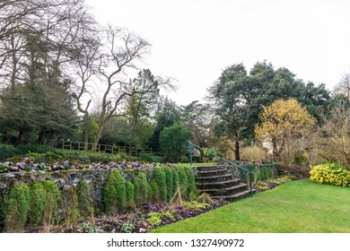 Croyden Trees Images Stock Photos Vectors Shutterstock