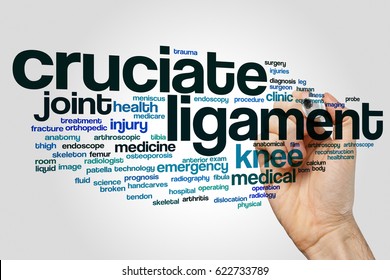 Cruciate ligament word cloud concept on grey background.