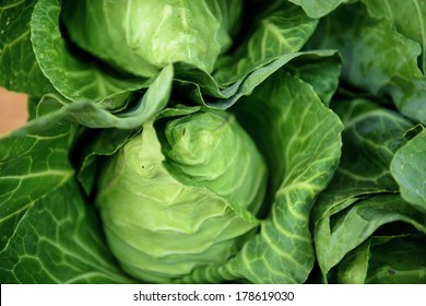 Cruciferous Vegetables Fresh.