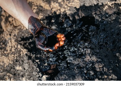 Crude Oil In Hand Due To A Crude Oil Leak. Caucasian Hands Covered With Fuel Oil, In Case Of Oil Spill Environmental Impact. 