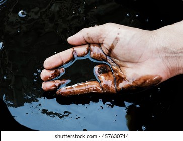 Crude Oil In Hand Due To Crude Oil Leak. Petrochemical,refinery  Process,Caucasian Hands Cupped With Black Oil When Oil Spill Environmental Effect,