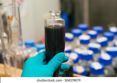 Crude Oil Sample From Many Difference Sample Point,this Sample Will Be Test And 
Analyzed