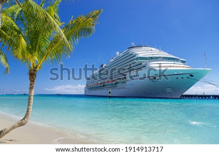 Cruise ship docked at tropical port on sunny day