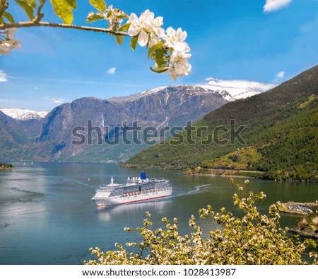 Cruise ship in fjord, Flam, Norway