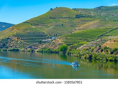 Cruise Ship On Douro River Passing Among Vineyards, Porto