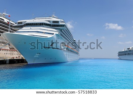 Cruise ships docked in tropical port during sunny day