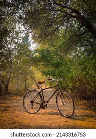 Cruiser Bike On The Boise River Greenbelt Trail In Boise, Idaho