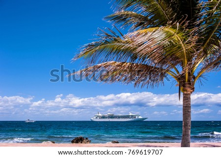 Cruiseship tour,Bahama cococay irland beach