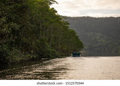 Cruising Along The Daintree River