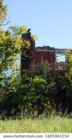 Crumbling brick chimney at an abandoned house in rural Shelbyville Kentucky with a big black buzzard