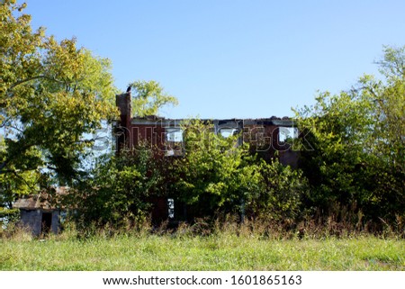 Crumbling brick chimney at an abandoned house in rural Shelbyville Kentucky with a big black buzzard