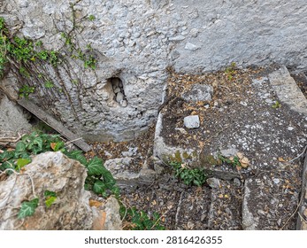 Crumbling stone steps lead down to the remains of a historic building in Alicante, Spain. Overgrown plants cover the area, showing signs of neglect and age.