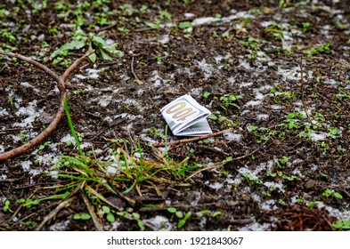 A Crumpled One Hundred Dollars Bill Lies On The Frozen Ground. Lost Money. Winter, Outdoors. No People