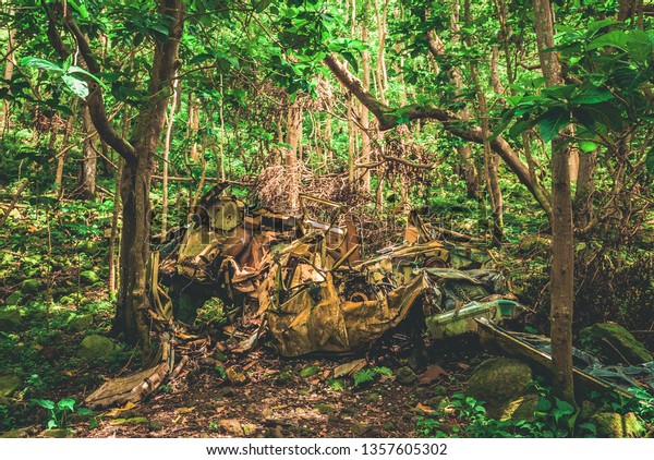 The crumpled remains of a car that went over the\
side of Waipio Valley Road and tumbled to the bottom, left to be\
reclaimed by the jungle.  Hamakua district, north shore of the big\
island of Hawai\'i.
