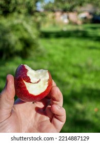 Crunched Apple In A Man's Hand, On A Blurred Prairie Background.