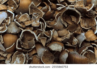 CRUSHED HAZELNUT SHELLS CLOSE UP