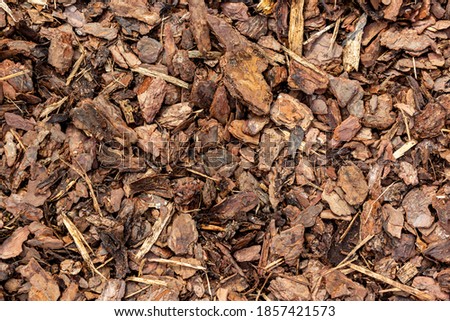 Crushed tree bark texture closeup. Wooden mulch ground's fragment as an abstract background composition. The pieces of tree bark texture like for background. Wood chip from pine trees