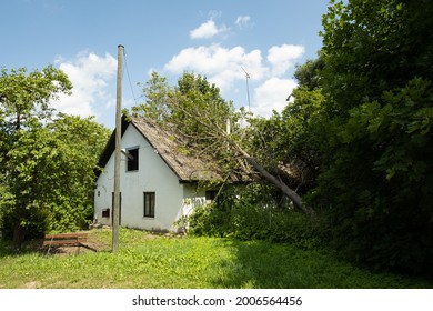 Crushed Tree Trunk On The Roof Top Of Old House 