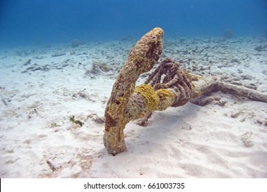 Crusty Anchor Underwater