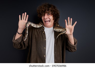 Crying Male Is Afraid Of Snake Which Wraps Around His Neck, Stand Screaming Isolated On Black Background