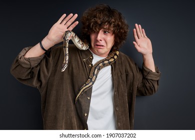 Crying Male Is Afraid Of Snake Which Wraps Around His Neck, Stand Screaming Isolated On Black Background