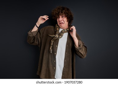 Crying Male Is Afraid Of Snake Which Wraps Around His Neck, Stand Screaming Isolated On Black Background