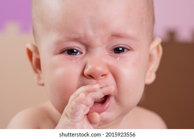 Crying Newborn, Close-up Portrait. Upset Child