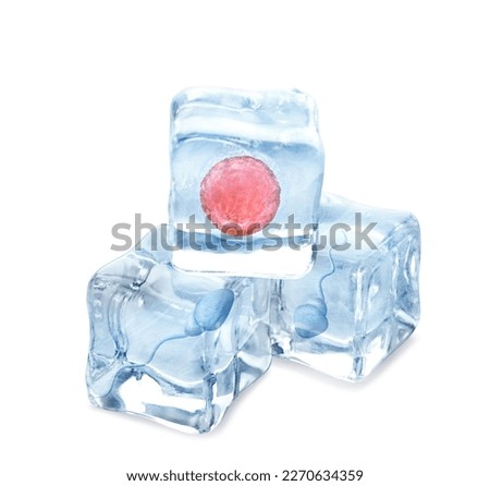Cryopreservation of genetic material. Ovum and sperm cells in ice cubes on white background