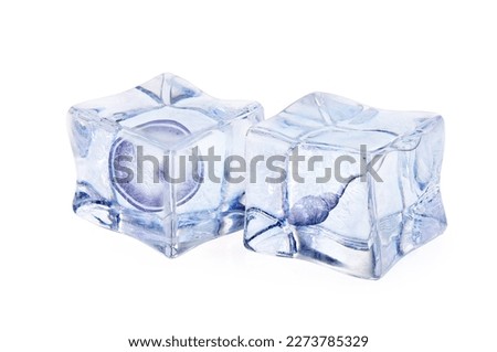 Cryopreservation of genetic material. Ovum and sperm cells in ice cubes on white background